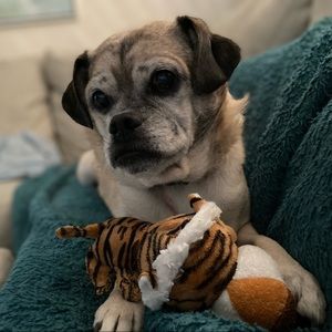 Your Poshers, Kate and‎ Bingley